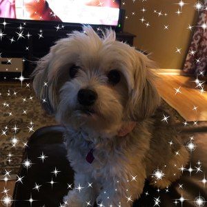 Meet your Posher, Jen